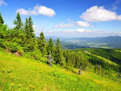 Hoofdbeeld Duitsland Bayerse Woud homepage